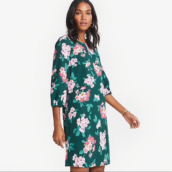 Ann Taylor petite Woodsy green floral shift dress - Picture 2 of 5